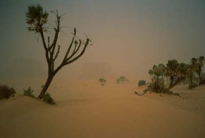 Ennedi: Sandsturm