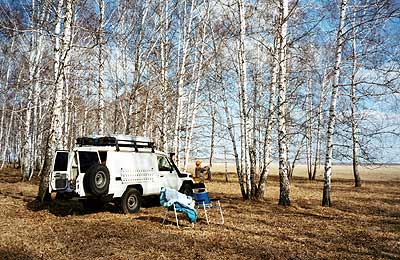 Birkenwäldchen westlich Omsk (Sibirien)