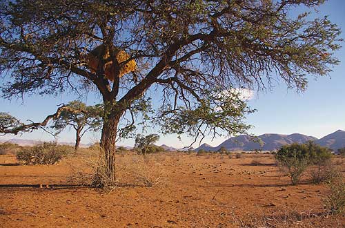 Nubib Berge, Namibia