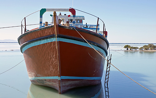 Boot mit Mangroven